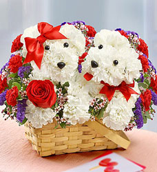 Lucky in Love Davenport Florist - Same Day Flower Delivery - Flower Power 